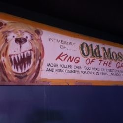 Old Mose the Grizzly is Our Namesake